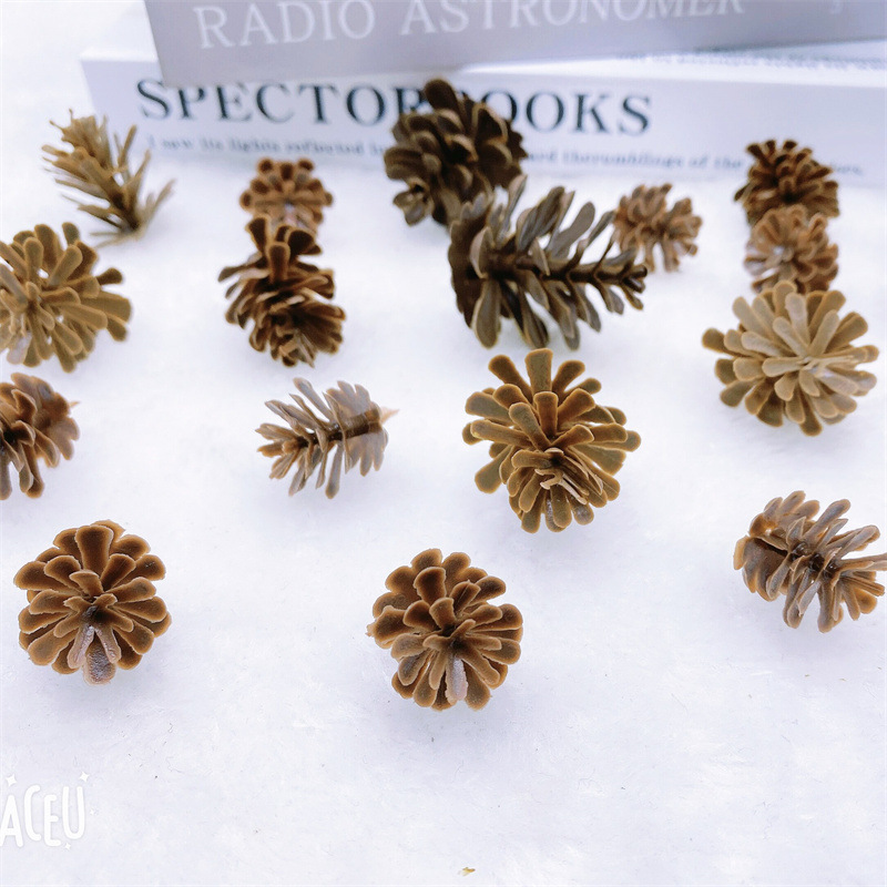 Plastic simulation pine cone Christmas Crafts accessories DIY accessories shooting props Christmas decoration ornaments 2-6cm Plastic simulation pine cone Christmas Crafts accessories DIY accessories shooting props Christmas decoration ornaments 2-6cm
