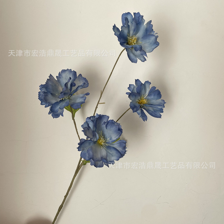 微信图片_202211251406198_副本