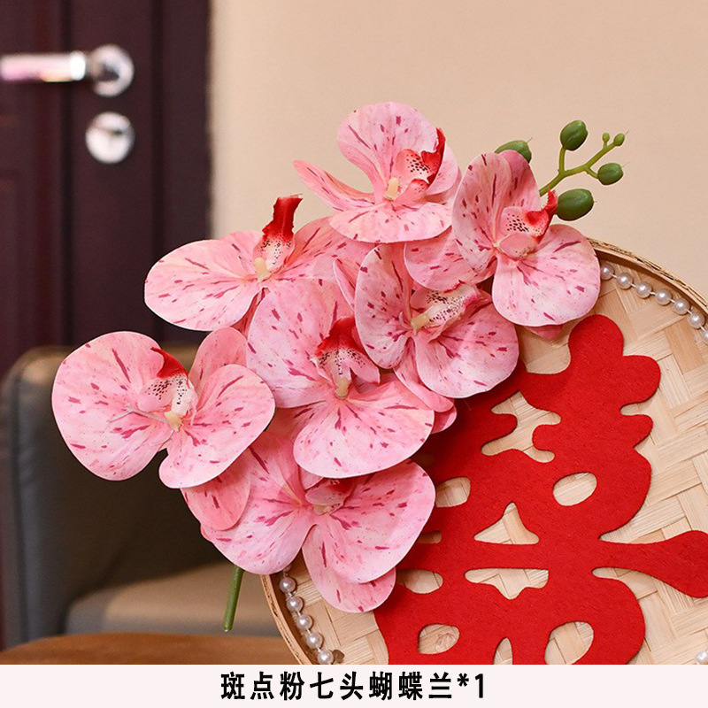 Seven-headed phalaenopsis-spotted pink