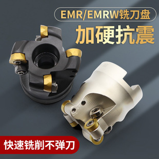 50R5�A��㊵��P63R6�w���PEMR���PTRS/EMRW R50/R63/R80/100/125