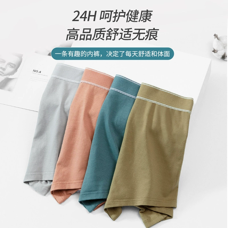 Cotton underwear, trousers, shorts, mid rise
