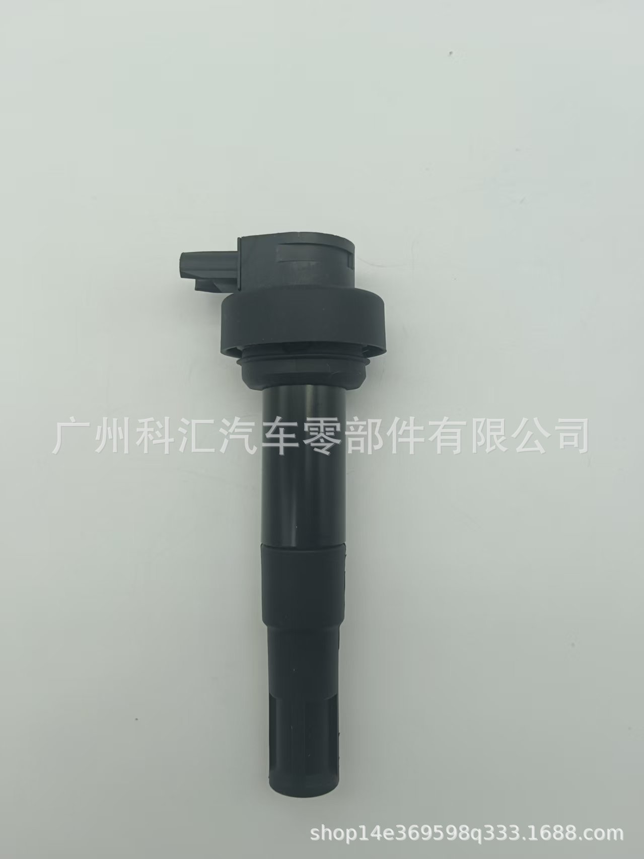 Ignition Coil 7710874-01 102289-10 1213771087 Bmw Motorcycle Gs310R K46