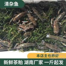 �rз�Bֳ�������s�~���ɲ�ݲ��������΁ţ�x�����ݳ�������