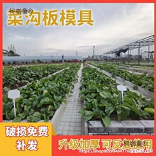 �؜ϰ�ģ�߼Ӻ����ϲ˜ϰ��Ʒ�˵�ͥԺ��@ˮ��˜ϰ�ģ����̫��
