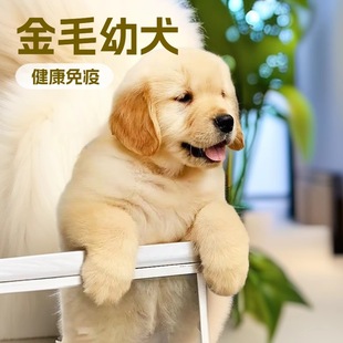 ���Ƽ��N��ë�����o�lȮ����Ȯ������w����Ѳ��Ȯ��äȮ��ͥ��H