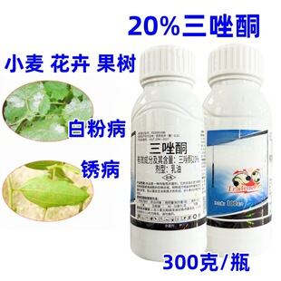20%����ͪС���׷۲��P���������r����������ί��P�����o�rș
