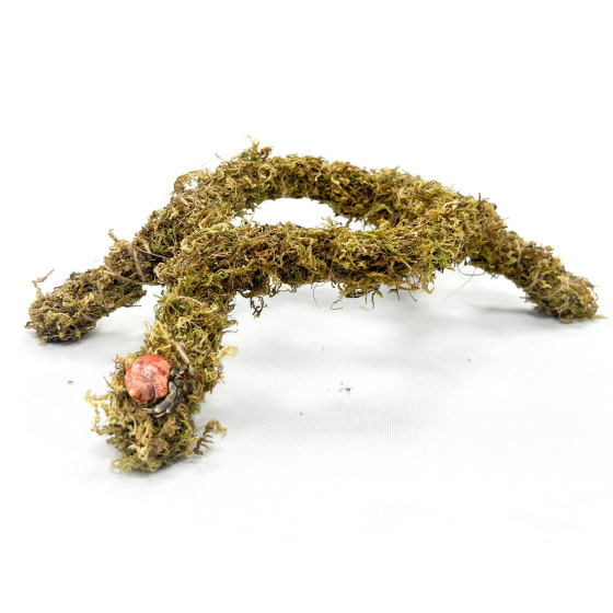 12 Inch Pet Moss Climbing Rack Snail Hermit Crab Climbing Toy