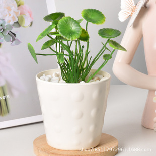 High-Quality Plastic Flower Pots, Thickened and Durable Imitation Ceramic Flower Pots, Round Desktop Succulent Flower Pots, Hydroponic Cultivation Pots Wholesale