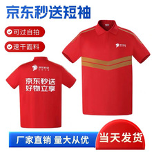 2025�¿�|���u�ļ�����T�����͹������_�_���u�T���·�POLO��