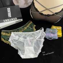 F255�Ը�Ů���潉���ٽz�Ը���ܛ��߅�W��노м������H�w���ǃ�ѝ