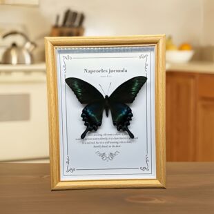 Green-Banded Peacock Butterfly Specimen Decorative Painting High-End Solid Wood Photo Frame Finished Three-Dimensional Ornament Hanging Painting Girlfriend Gift