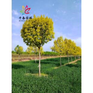 ��Ϟ������~��ϞС��ͥԺ�@���ͺ��G���L����䌦��������Ϟ����