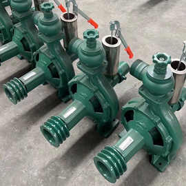 鲁强厂家供应双叶轮水泵 大流量抽水机 喷灌离心泵批发