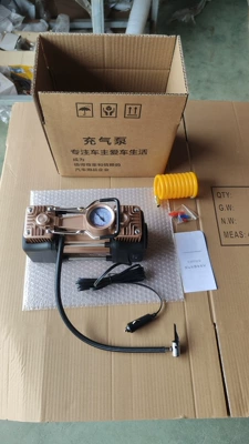 Car dual-cylinder car air Hava nasosu - motor-pump-22-cylinder-local-gold-double-cylinder-pointer-model