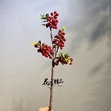 仿真蓝莓果红果浆果野果橘色绿色北美冬青果手捧花花卉装饰绢花