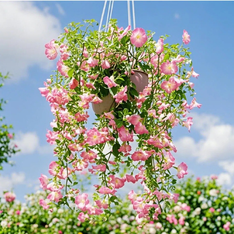 Flores artificiales, juego de 45 piezas de eucalipto y gloria de la mañana para decoración de bodas, decoración de pared, decoración interior y exterior de hoteles, ramo de flores artificiales.