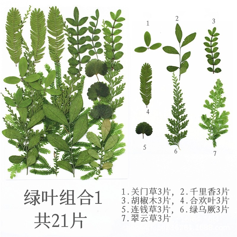 21 녹색 잎 가방 (폭발성)