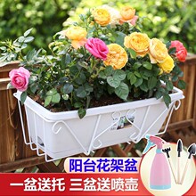 ܑ̨ҒLηNڒbFˇ̨ڗUN