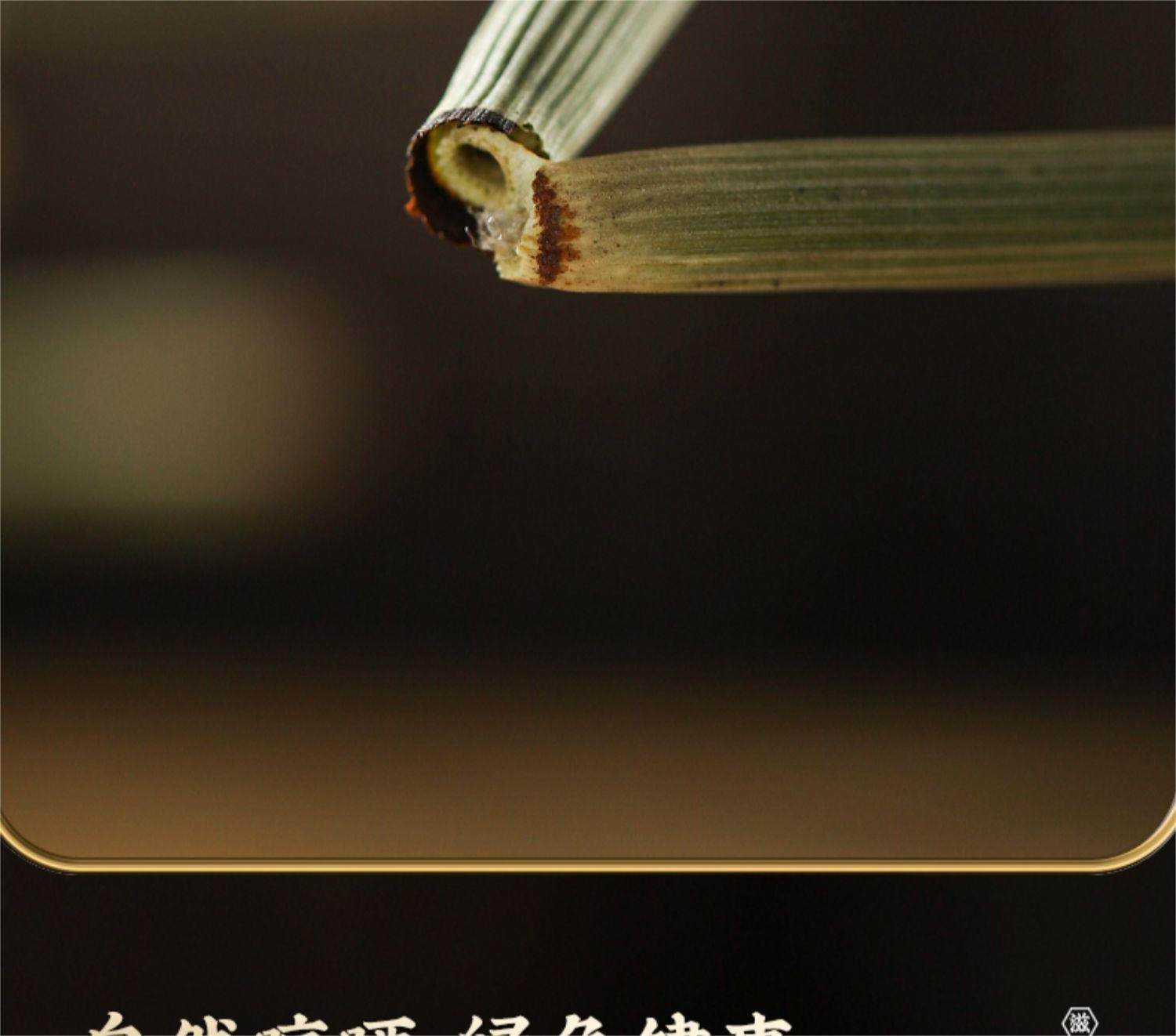 Dried Horsetail Herb Mu Zei Cao Cut Stems Traditional Herbal Tea 500g preparation