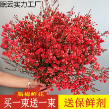 �D÷�r����ϻ���ֱ�l�^�����r�л�ˮ�B��ֲ���҃Ȼ������ԏS���l