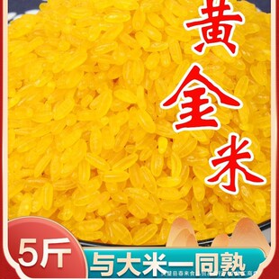 ���ږ|���S���״ּZճ�����Ŵ���������S����10��Ǵ�������خa