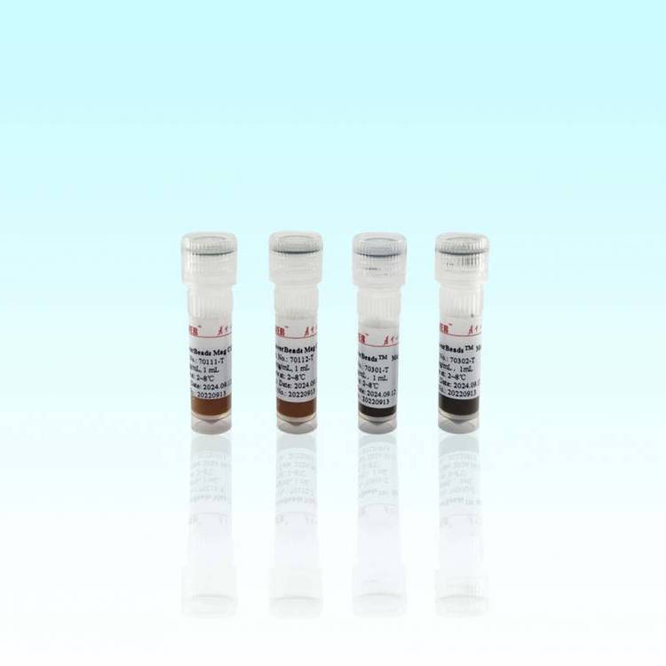 琼脂糖羟基磁珠(10-30μm) 海狸 5 mL, 50%(v/v)