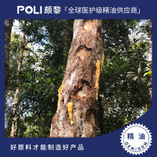 ӡ���M�ڹ�ܿ��֬����ԭ��ӡ��η������H����Ȼ���X�㾫����޹