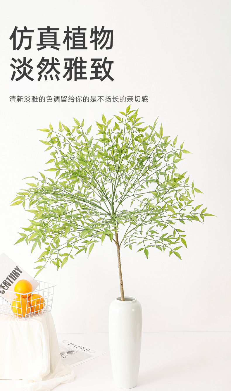 详情_02.jpg