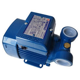 PQ60意大利PEDROLLO倍得龙抽油高压循环水泵PQM 60佩德罗PQM81-BS