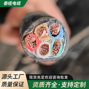 Flame Retardant National Standard Oxygen-Free Copper Rvv Sheathed Wire 6 Square Meters/Multi-Core Safety