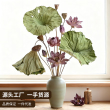 狂想者新品【荷花套装】自然干荷花荷叶莲蓬莲花客厅装饰干花花束