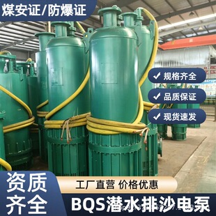 �V��BQS20-100-18.5ú���J�C�ߓP�̝�ˮ�õV�ø���������ɳ��ˮ��