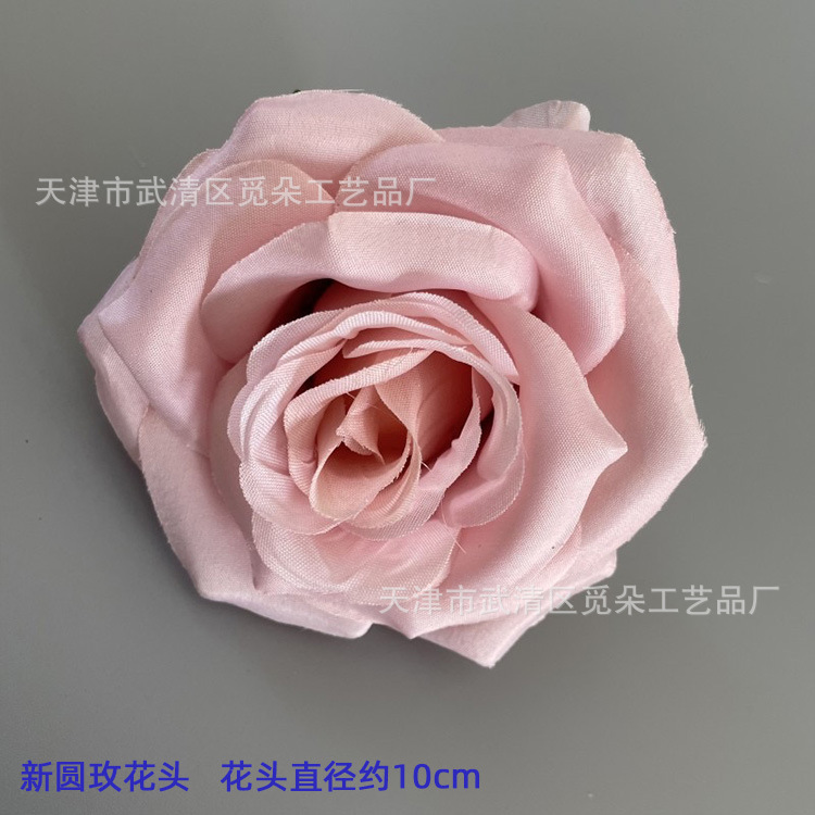 뉴 라운드 로즈