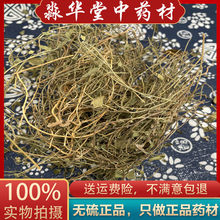 野山瓜子金 500g克包邮 来马回 辰砂草  金锁匙 瓜子草 挂米草真
