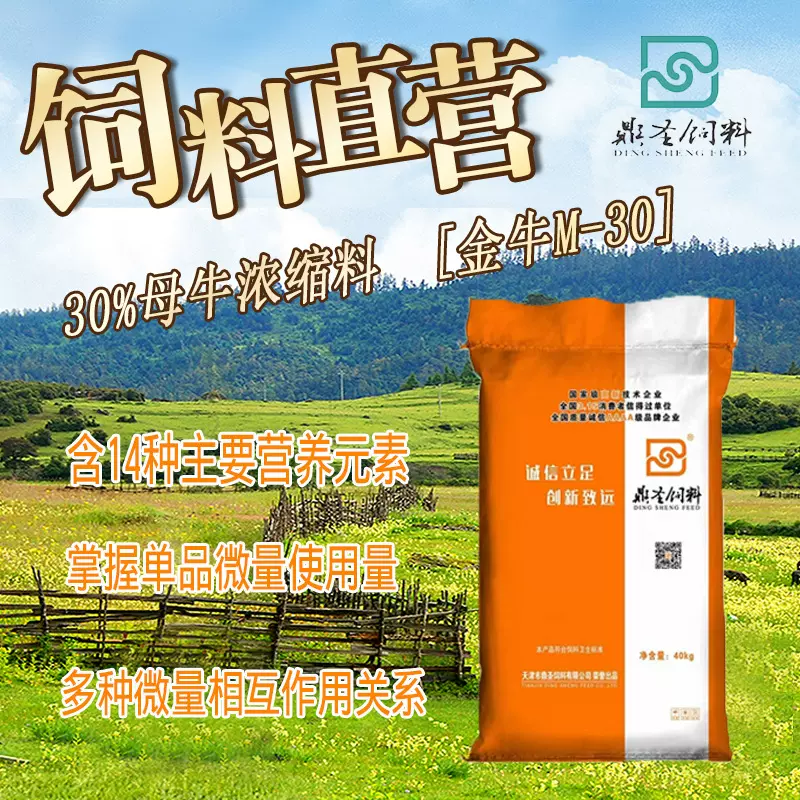 鼎圣30%母牛浓缩饲料均衡营养微量提G繁育性能厂家直销肉牛饲料