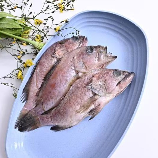 顺丰包邮野生石斑鱼新鲜海捕老虎斑珍珠斑红口斑海鲜水产全年批货