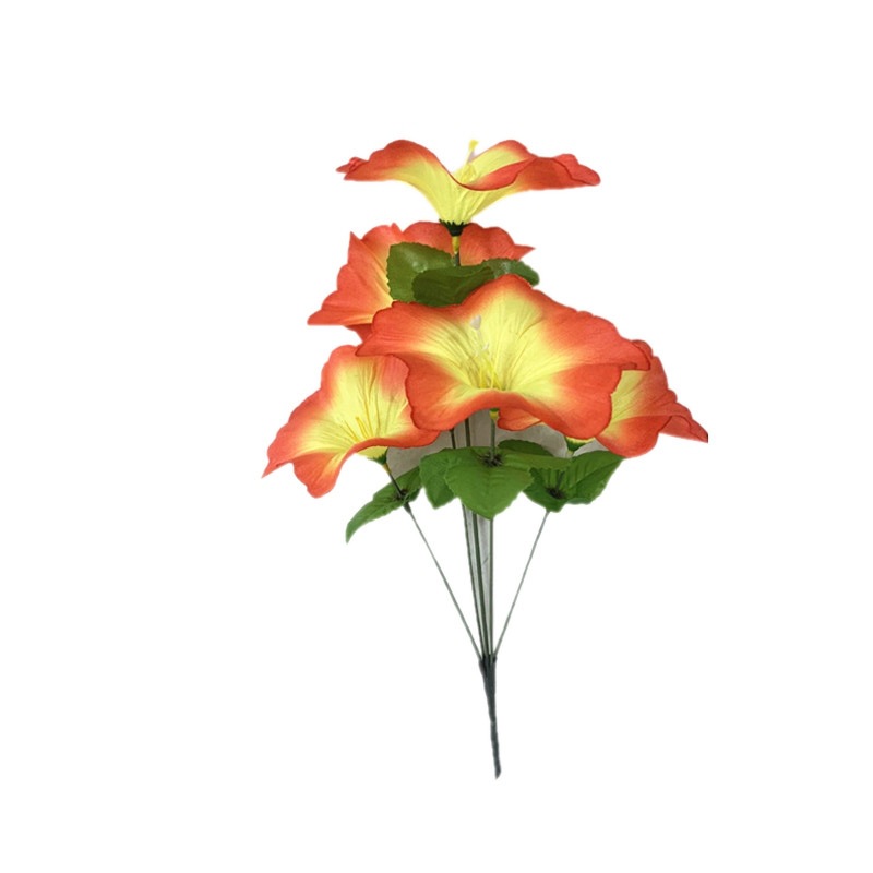 5a77aa680d19a6ddaf10d6cc8f7da3