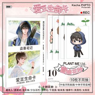 ����ϵ�Еr��IĹ������~���b�峣��Ӱ��߅�N�ӿ��۶�������