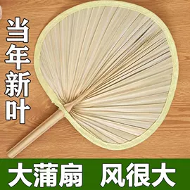 电子宠物;风筝;电动公仔