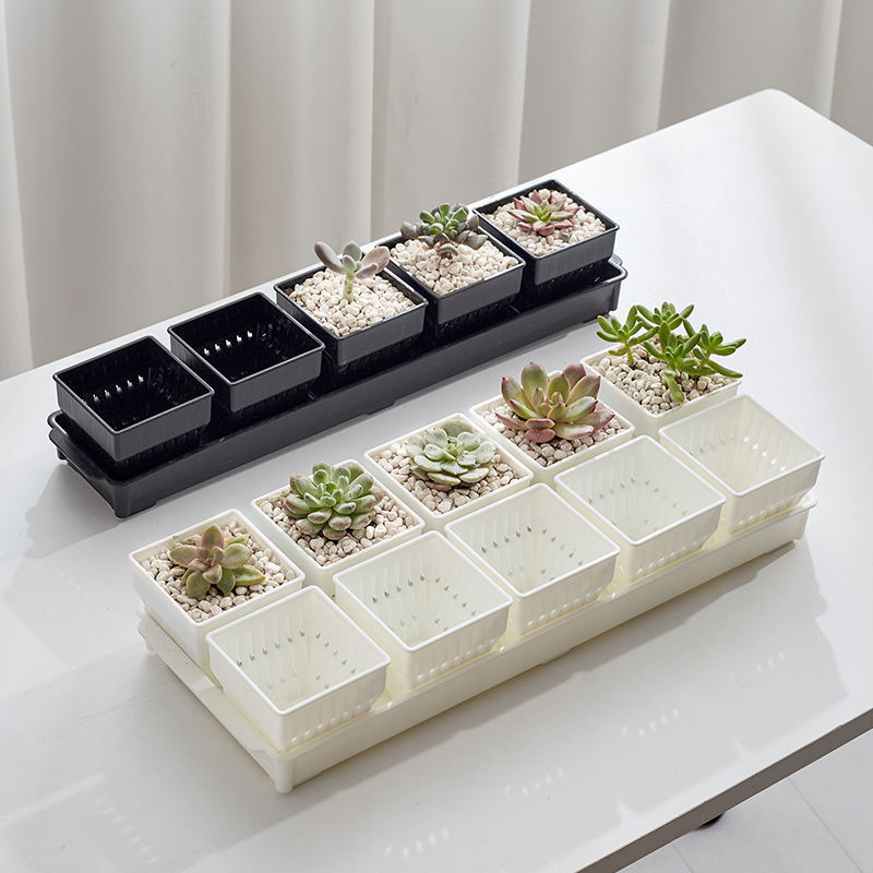 种多肉植物的花盆组合塑料创意精致小白方带托盘透气一体控根专用|undefined