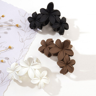 �OӋ��ĥɰ���滨�����Ͱl�A�羳���仨�lץ���X�װl����P�l�A��