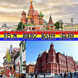 背胶贴画图片狮头鹅背胶图案家禽动物家鹅散养画潮汕不干胶贴纸