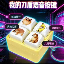 我的刀盾按键发声玩具四宫格键盘解压发声发光钥匙扣搞怪解压挂件