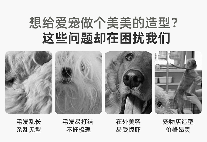 针梳中号-内页_02