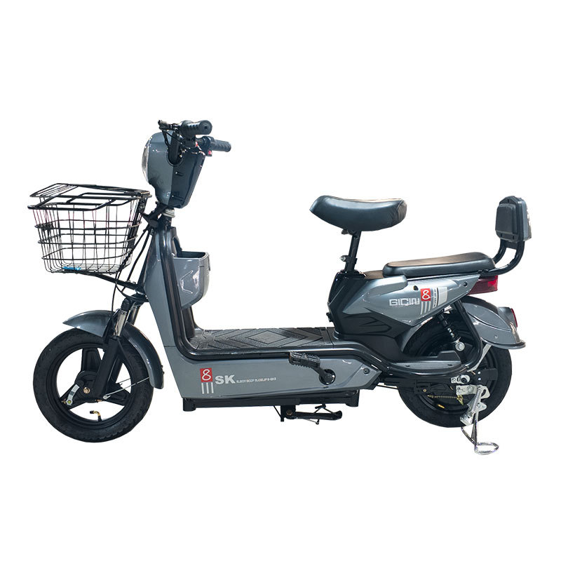 Comercio exterior transfronterizo Vehículos eléctricos Vehículos eléctricos de transporte para adultos Viajes al extranjero Vehículos para llevar Golden Eagle Vehículos eléctricos de exportación transfronterizos