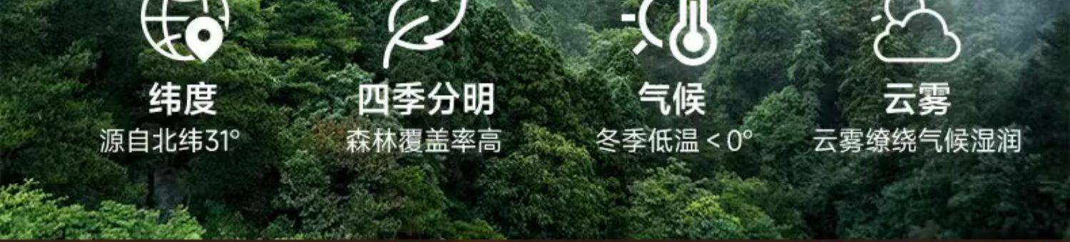 Premium Tie Pi Shi Hu Dendrobium Fengdou Gift Box 250g Huoshan Origin Dried Stems for Tea and Soup key features