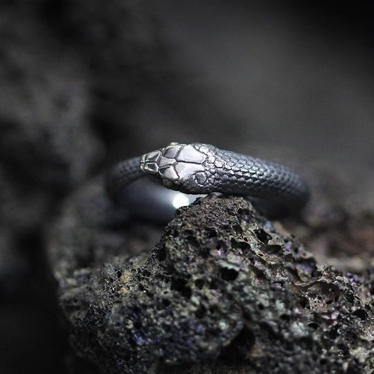 Ouroboros Living Ring Men's Niche Retro Street High-End Personalized Design Hand Jewelry Couple Women's Gift Hand Jewelry