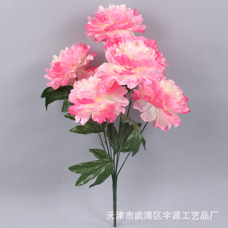 Two-color, fuchsia