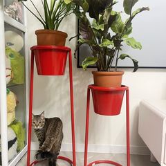 整装网红多颜色花架简约现代客厅阳台落地花盆架酒店公司专用花架