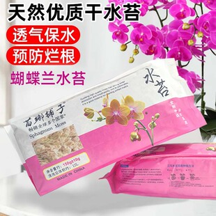 Special Plant for Sphagnum Moss, Butterfly Orchid, Climbing Pet, Turtle Hibernation Mat, Dendrobium Planting, Dried Moss, Natural Moss